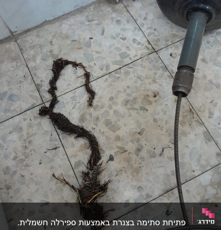 נחשול אינסטלציה עם שורשים על רצפת קרמיקה